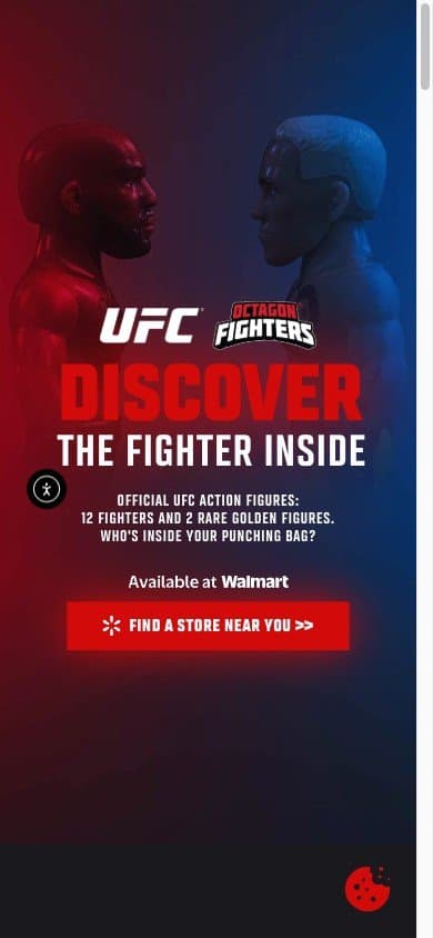 דף הנחיתה fighters.pmitoys.com במובייל