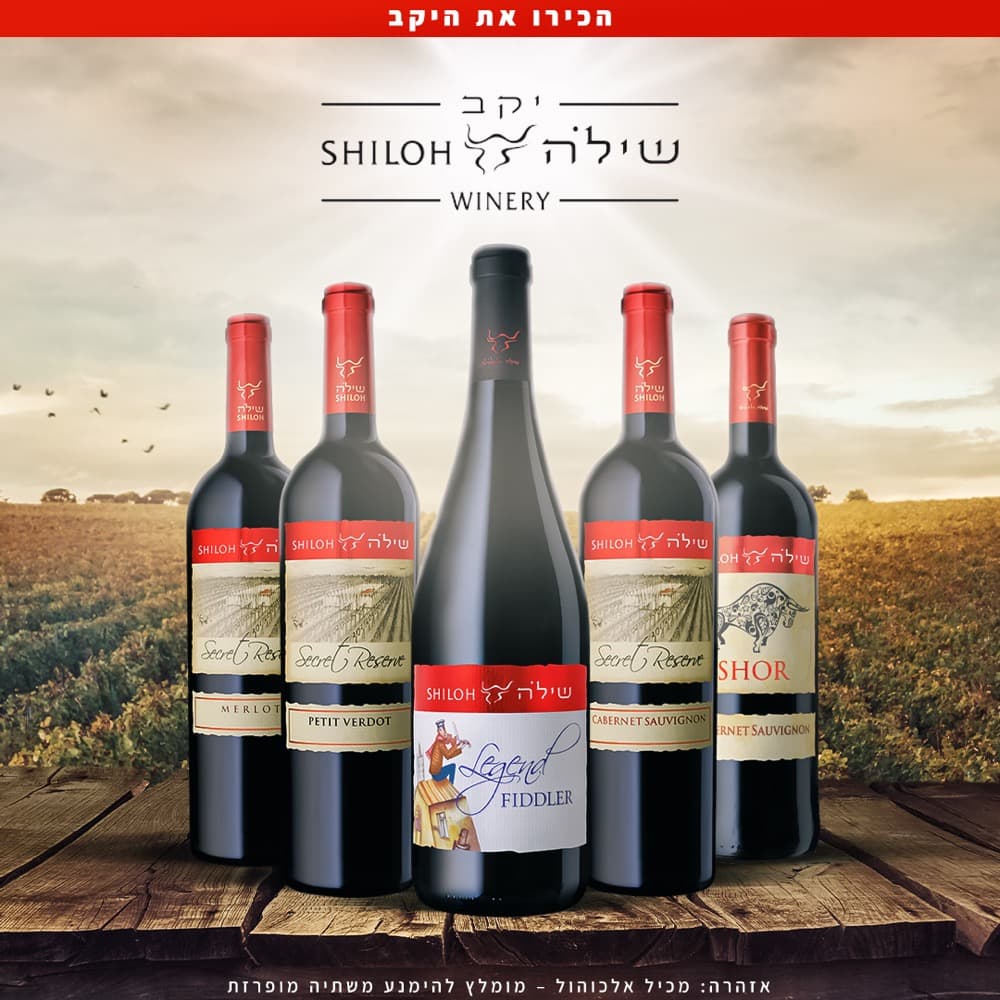פוסטים